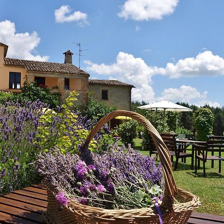 Agriturismo Monterosello Città di Castello Eksteriør bilde