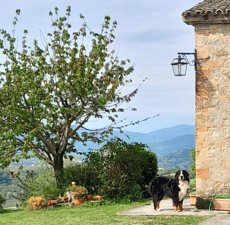 Agriturismo Monterosello Città di Castello Eksteriør bilde